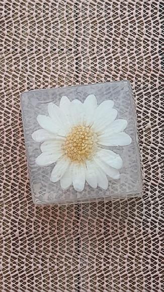 Barra Margarida Dia das Mães