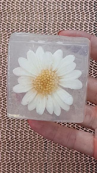 Barra Margarida Dia das Mães