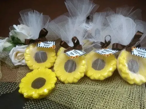 Festa Girassol