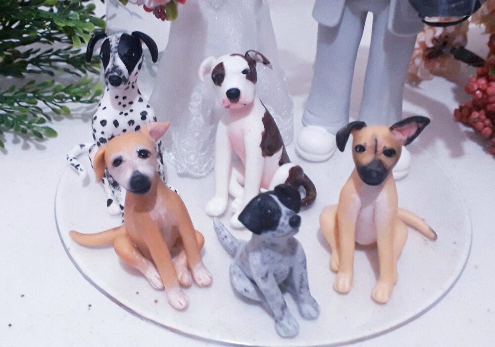 Noivinhos Personalizados em biscuit - Pets / noovinhos com cachor