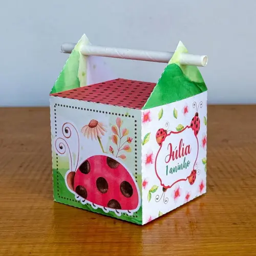 Kit Pegue e Monte, 50 Itens Caixinhas para Festas Joaninhas