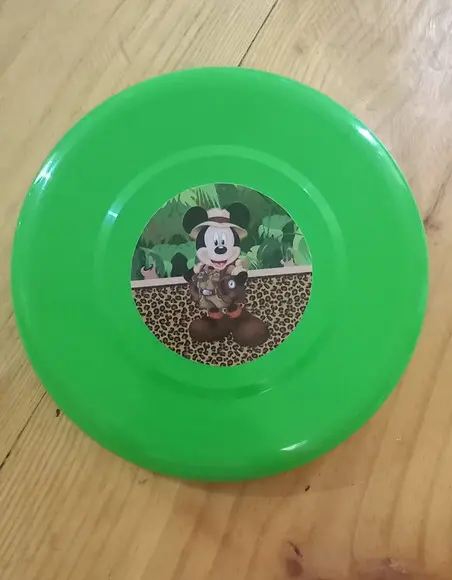 Disco (frisbee)