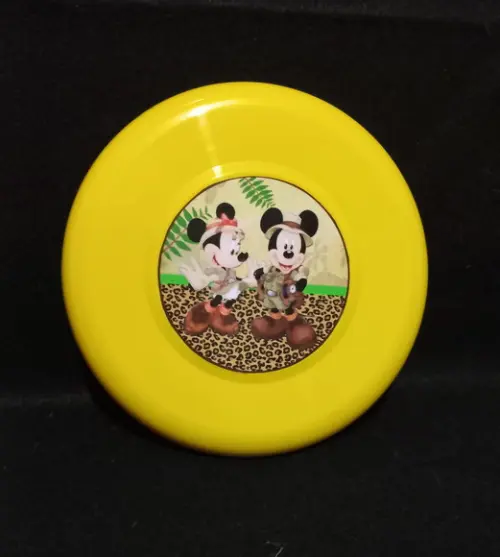 Disco (frisbee)