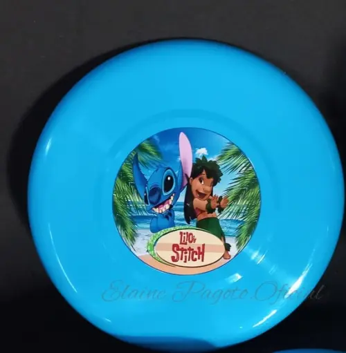 Disco Fly (frisbee)