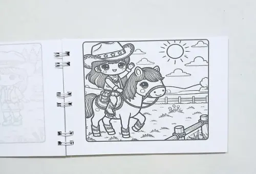 Livro de Colorir a Boiadeira 50 Desenhos A5