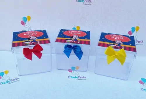 Caixinha Acrílica Personalizada Show da Luna
