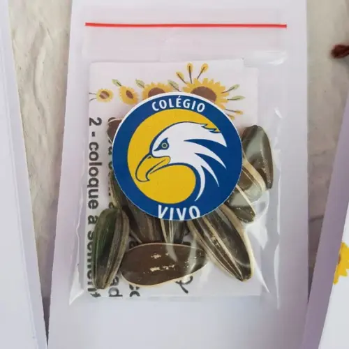 Mimo para Cliente Semente de Girassol com Cartão