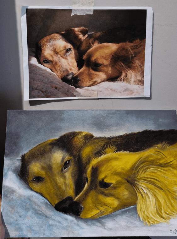 Transforme Seu Pet em Arte | Retratos Personalizados Tela 30x30