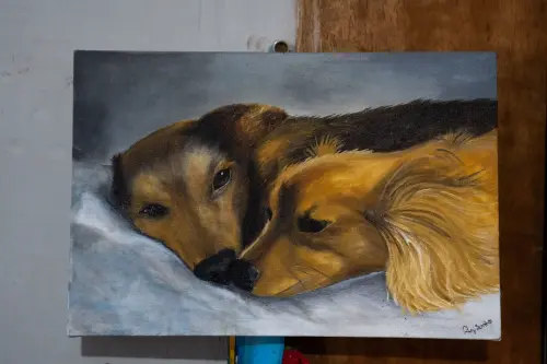 Transforme Seu Pet em Arte | Retratos Personalizados em Tela - 30x30 cm
