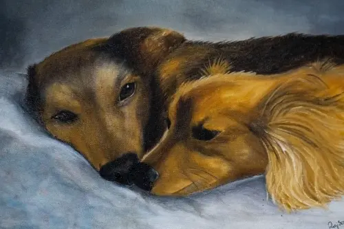 Transforme Seu Pet em Arte | Retratos Personalizados Tela 30x30