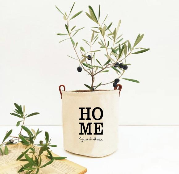 Cachepot Home Grande c/ Alças em Couro Ecológico - Chvg402
