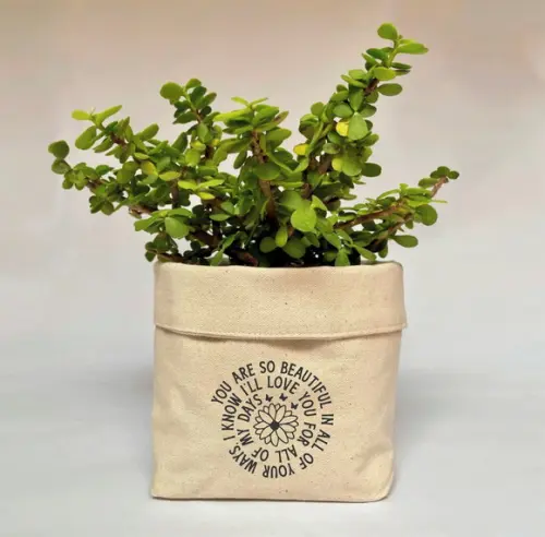 Cachepot em Algodão Cru c/ Barra Dobrada e Estampa - Chqd200