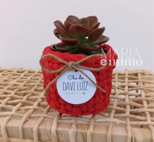 Cestinho Decorativo, Mini Cesto para Suculenta