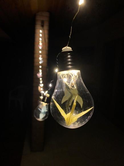 Cordão de luz de led com TSURU