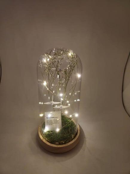 Cúpula com Led - com Plaquinhas Diversas