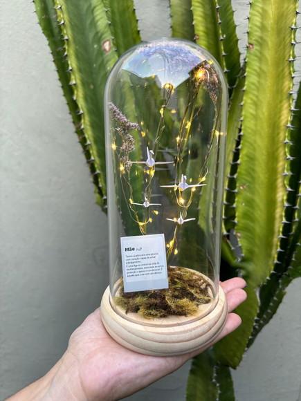 Cúpula com Led - com Plaquinhas Diversas