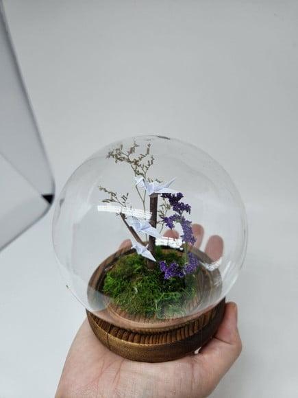 Cúpula Redonda com Mini Tsurus