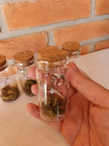 Mini Cúpula Floral