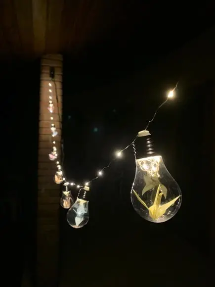 Cordão de luz de led com TSURU