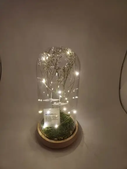 Cúpula com Led - com Plaquinhas Diversas