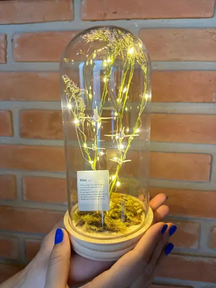 Cúpula com Led - com Plaquinhas Diversas
