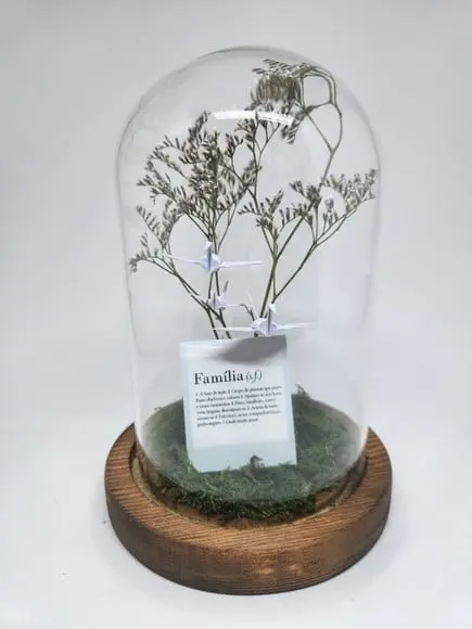 Cúpula Floral Família