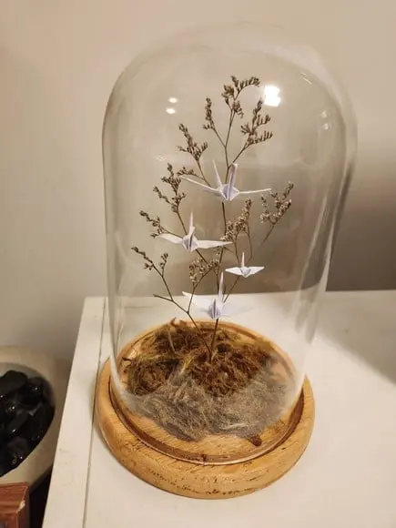 Cúpula Floral com Tsurus
