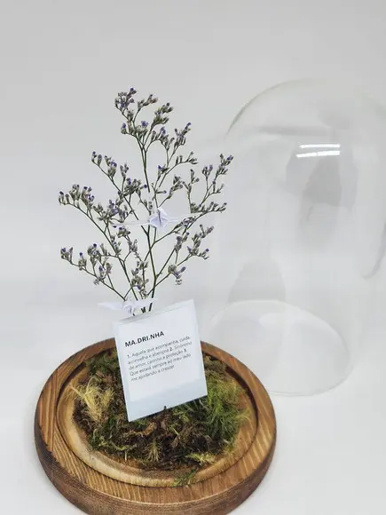 Cúpula Floral Madrinha