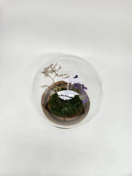 Cúpula Redonda com Mini Tsurus