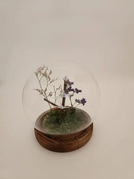 Cúpula Redonda com Mini Tsurus