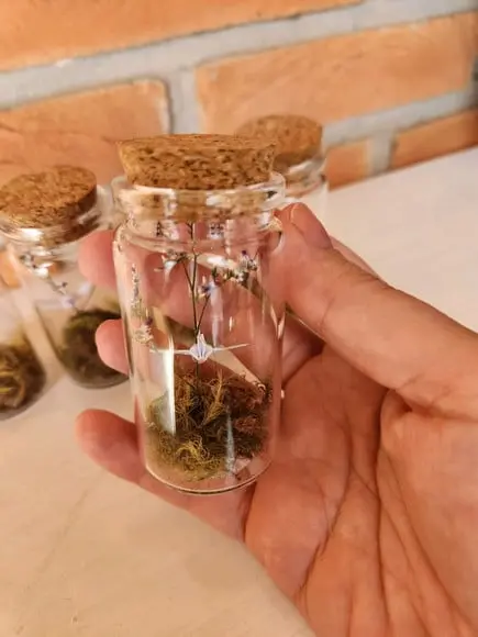Mini Cúpula Floral