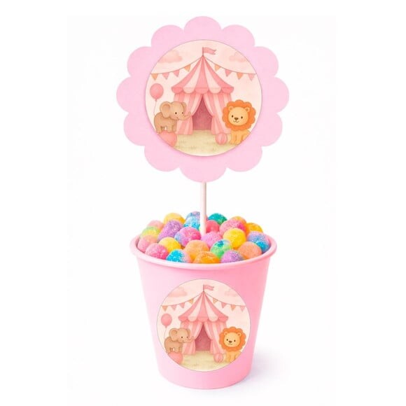 Centro de Mesa Flor Personalizado Circo Rosa Aquarela