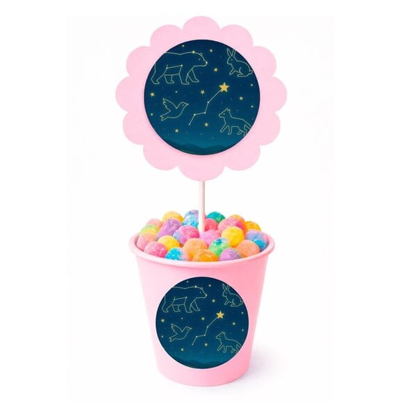 Centro de Mesa Flor Personalizado Constelações