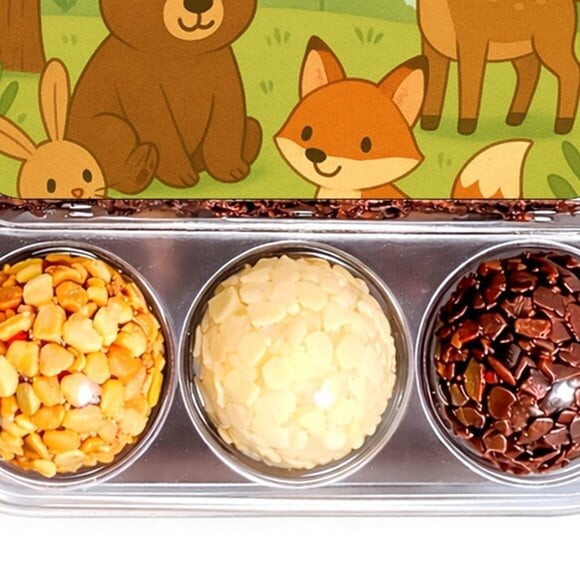Embalagem Bolo Docinhos Personalizada Animais da Floresta