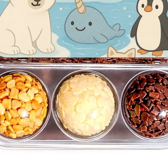 Embalagem Bolo Docinhos Personalizada Animais do Ártico