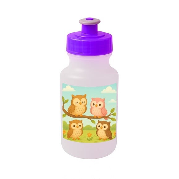 Garrafinha Squeeze Personalizada Corujinhas