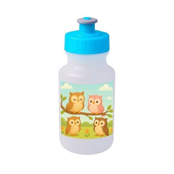 Garrafinha Squeeze Personalizada Corujinhas
