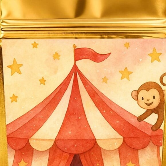 Saco Festa Metalizado Dourado 13x20 Circo Aquarela