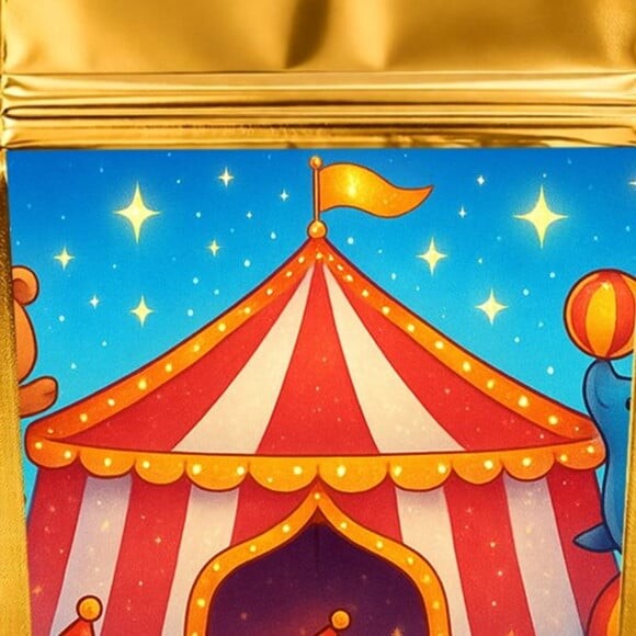 Saco Festa Metalizado Dourado 13x20 Circo Encantado