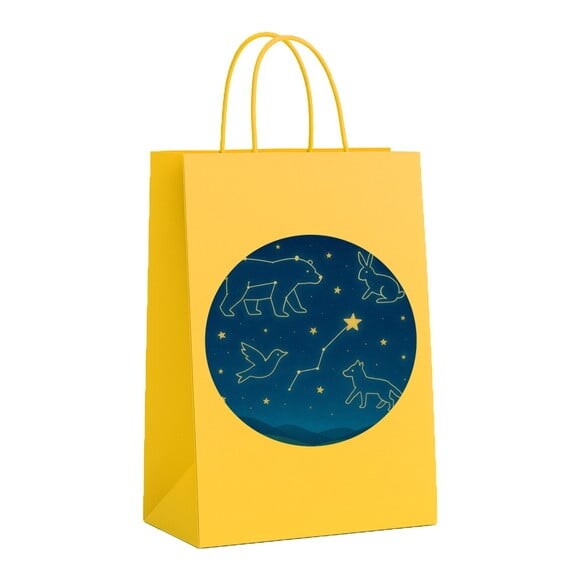 Sacola de Papel Personalizada Infantil Constelações