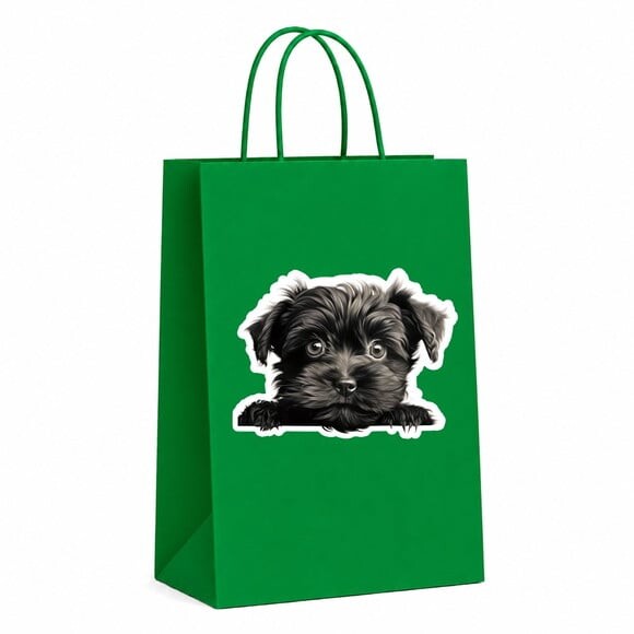 Sacola Papel Festa Raça Cachorro Affenpinscher