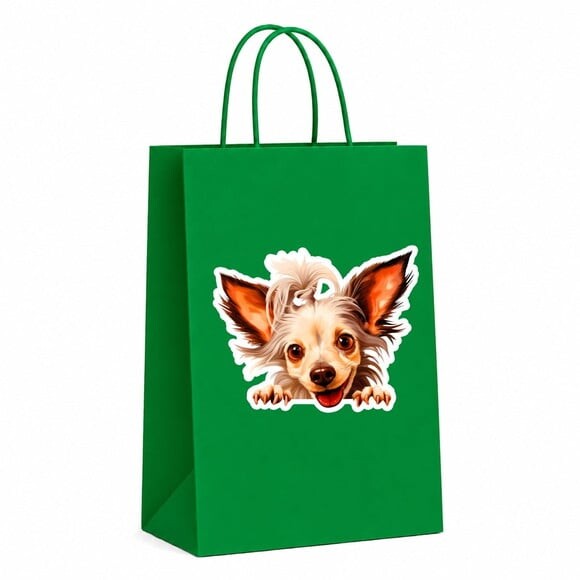 Sacola Papel Festa Raça Cachorro Cão de Crista Chinês