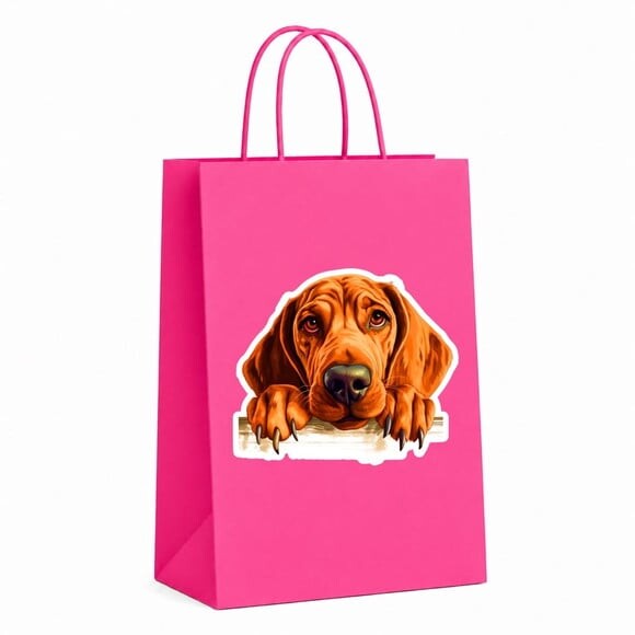 Sacola Papel Festa Raça Cachorro Coonhound Redbone