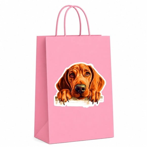 Sacola Papel Festa Raça Cachorro Coonhound Redbone