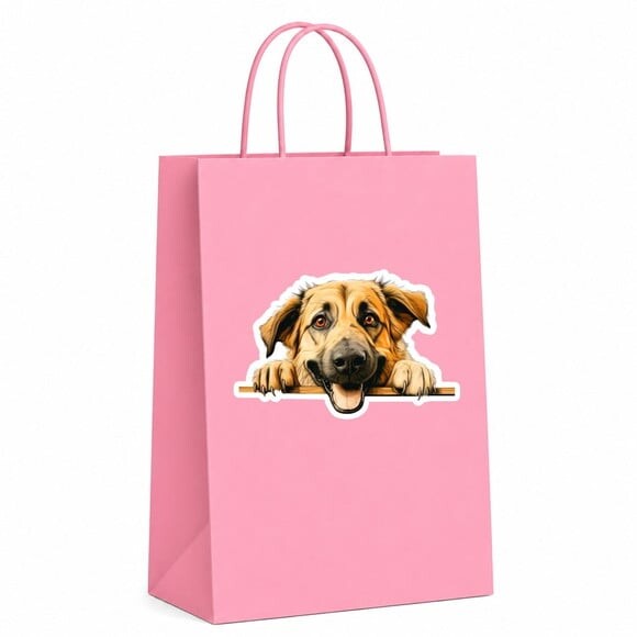Sacola Papel Festa Raça Cachorro Pastor da Anatólia