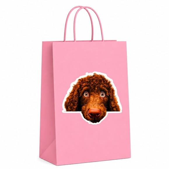 Sacola Papel Festa Raça Cachorro Spaniel de Água Irlandês