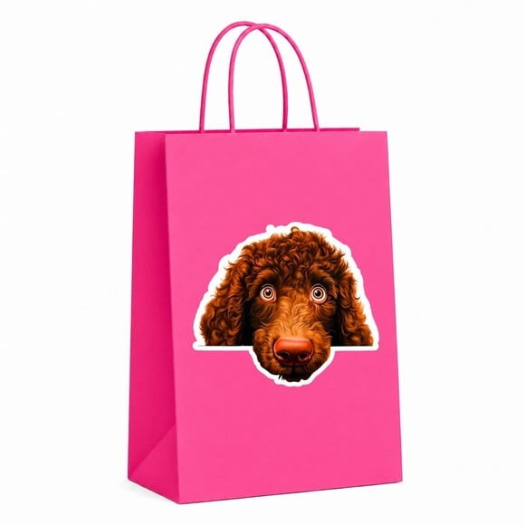 Sacola Papel Festa Raça Cachorro Spaniel de Água Irlandês