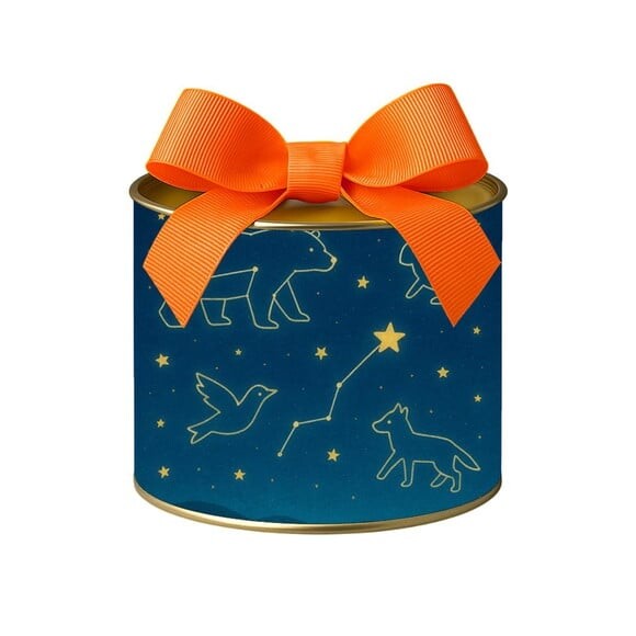 Tubo Lata Metalizada 7x10 Constelações