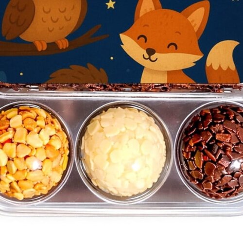 Embalagem Bolo Docinhos Personalizada Animais Noturnos