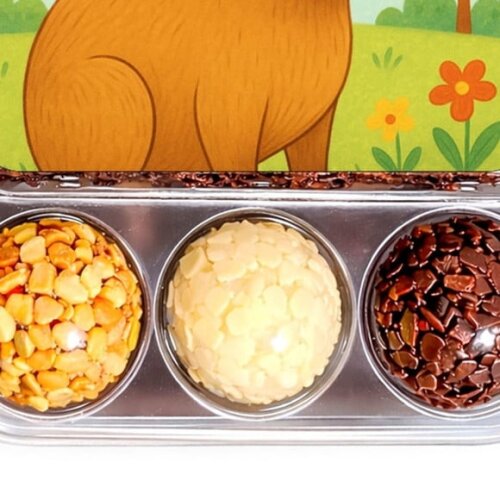 Embalagem Bolo Docinhos Personalizada Capivara